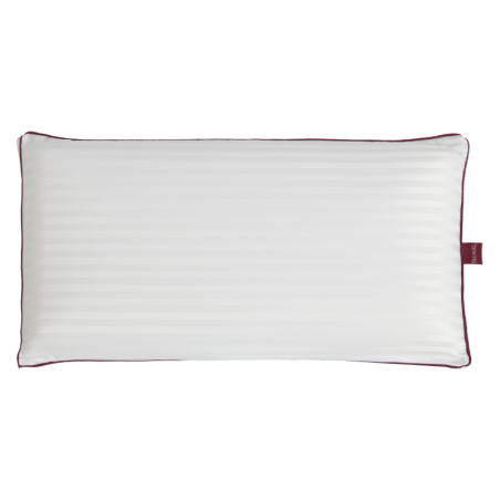Almohada Viscoseda de Belnou